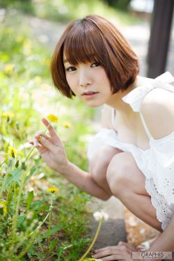 低端影视ddrk 封面