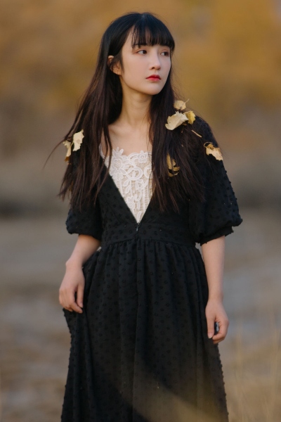 民兵葛二蛋电视剧全集在线观看 封面