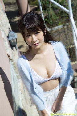 姬骑士莉莉娅 封面