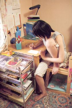 判逆者电视剧 封面