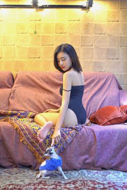 兰闺喜事电视剧免费观看完整版 封面